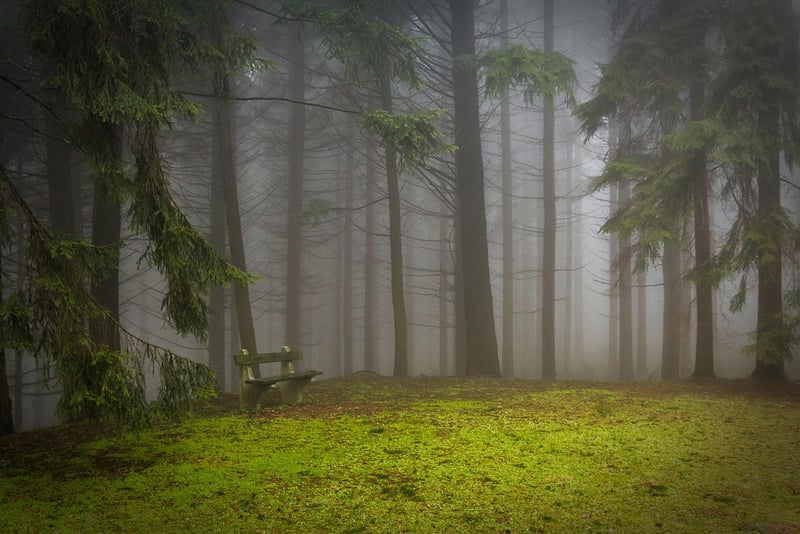 Mystical Clearings